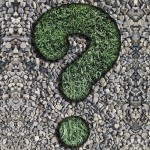 Fragezeichen aus Gras auf Kieselsteinen