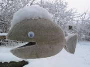 Steinfisch im Winter