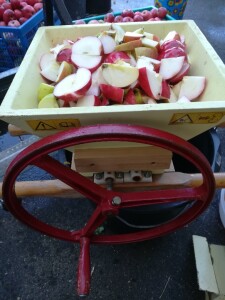 Obsthäcksler mit äpfelgefülltem Zuführtrichter und handbtriebenem Schwungrad.