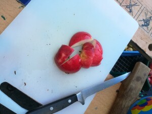 Fünf Apfelschnitze eines halben Apfels auf einem Schneidebrett, ein Messer daneben liegend