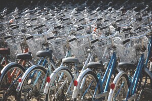 Mehrere Reihen gleichartiger, abgestellter Fahrräder.